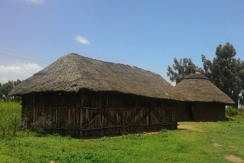 From Addis Ababa: Adadi Mariam Church & Market Day Tour