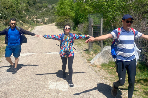 From Madrid: Cooking Class by a Castle in the Olive Groves