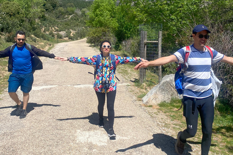 From Madrid: Cooking Class by a Castle in the Olive Groves