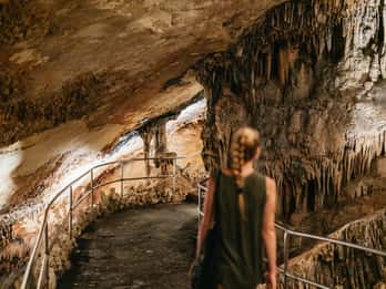 Mallorca: Caves of Drach Day Trip & Optional Caves of Hams