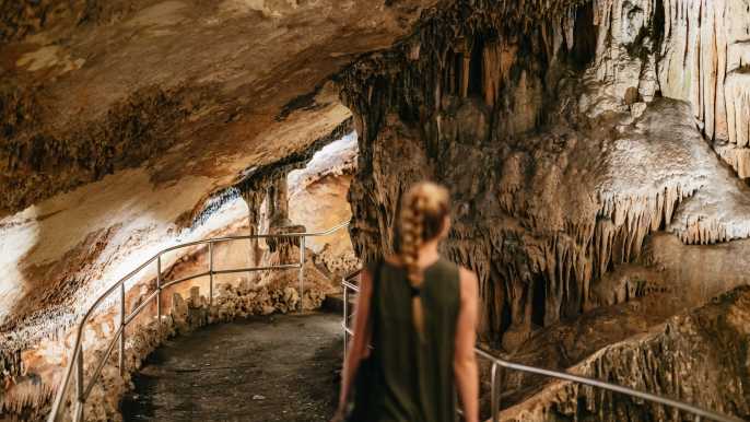 Mallorca: Excursión de un día a las Cuevas del Drach y cuevas opcionales del Hams