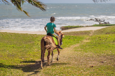 St. Lucia: Private Beach Horseback Ride With Picnic & Wine