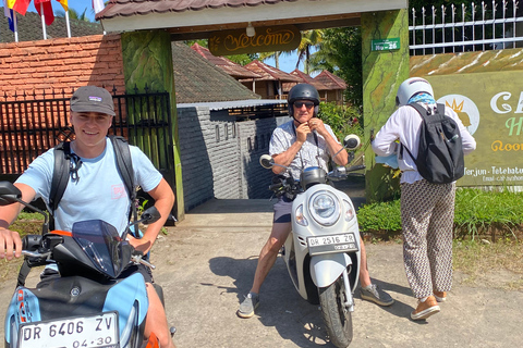 特特巴图：瀑布、香料、梯田、猴子森林特特巴图之旅、香料、瀑布、梯田、猴林