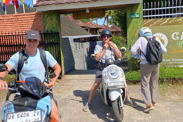 特特巴图：瀑布、香料、梯田、猴子森林特特巴图之旅、香料、瀑布、梯田、猴林