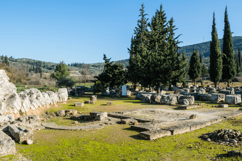 Visite privée de luxe : Sites antiques de Némée et dégustation de vin