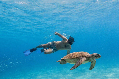 Espiritu Santo Island Tour with Sea Lion Snorkeling