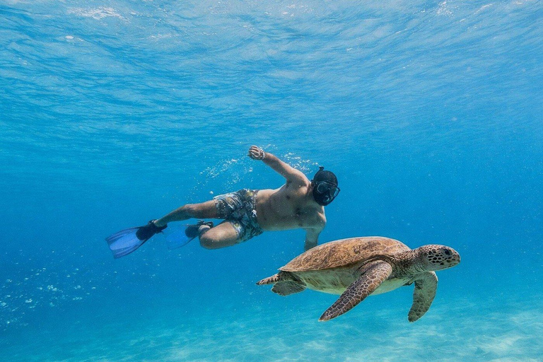 Espiritu Santo Island Tour with Sea Lion Snorkeling