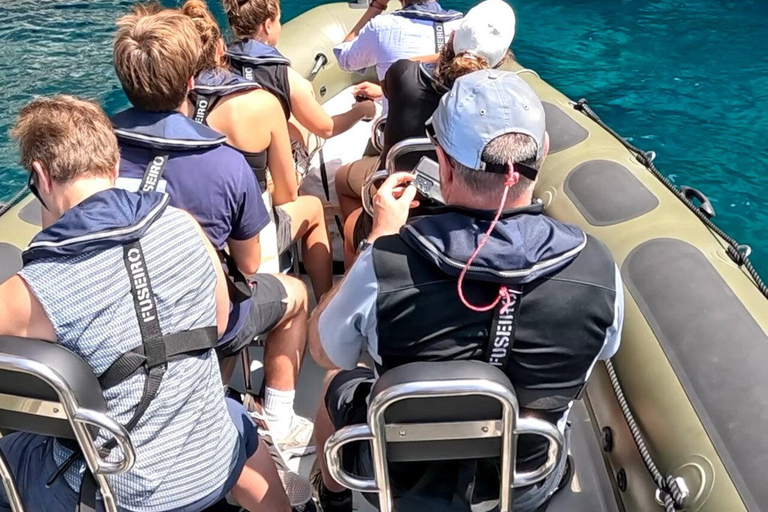 圣米格尔岛：火山奇观、洞穴与历史游船之旅