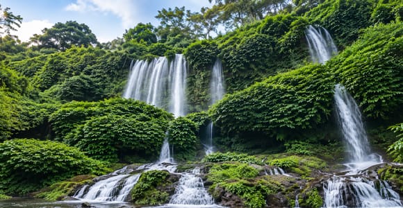 Rice Field - Benang Kelambu & Benang Stokel Waterfall Trip