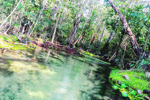 Jungle trek and canoeing on the Tapajós River. Jungle hike and canoe ride on the Tapajós River.