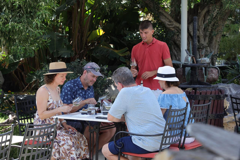 Santorin : visite de 3 établissements vinicoles avec dégustation de vin et nourritureVisite au coucher du soleil