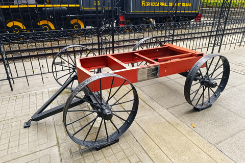 Medellín : explorez le centre-ville et vivez une expérience authentique de la ville.