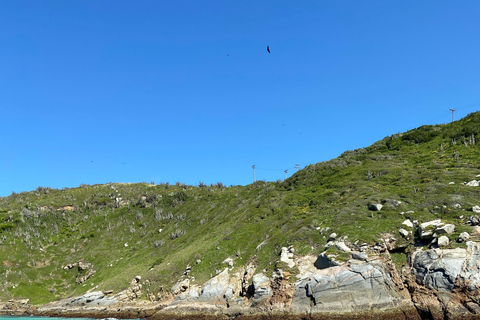 Rio Road Trip: Arraial do Cabo & Búzios