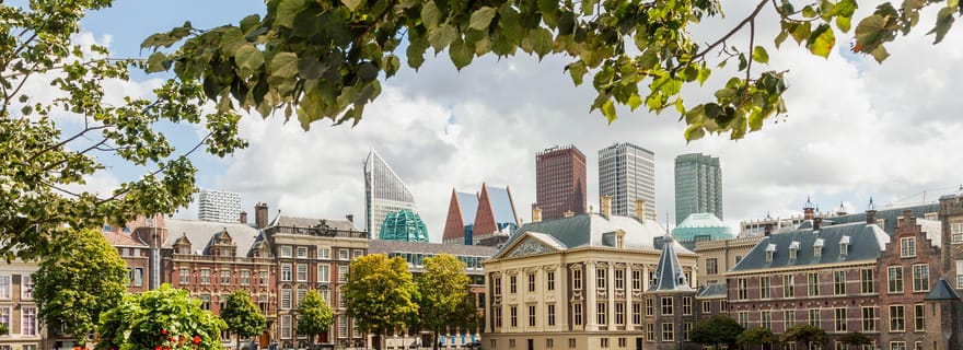 La Haye : Promenade express avec un habitant en 60 minutes