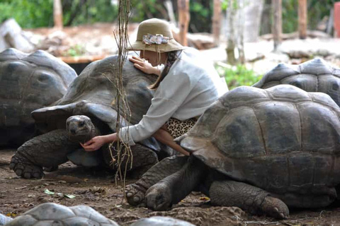 L'île de Mnemba, l'aquarium de Baraka et l'île de la Prison