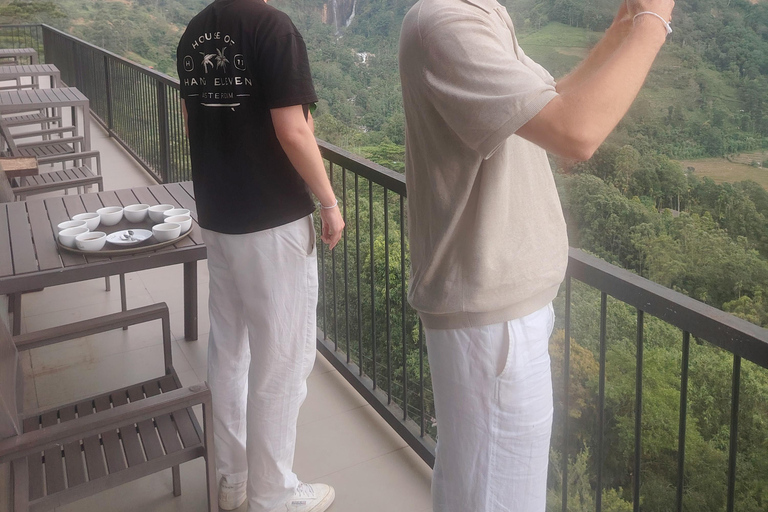 From Kandy: Nuwara Eliya Private Day Trip with Tea Factory