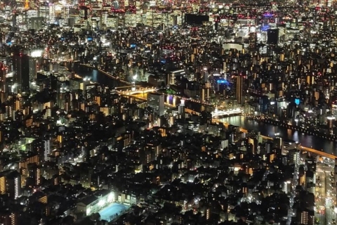 Prywatna wycieczka samochodem i vanem do Tokio z możliwością indywidualnego dostosowania