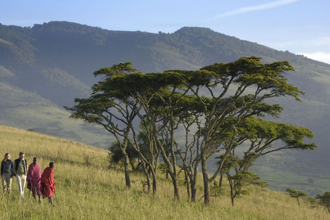 Safari en grupo de 5 días por Tarangire, Serengeti y Ngorongoro