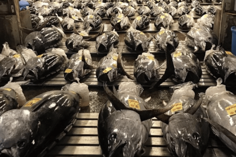 Toyosu Fish Auction and Tsukiji Market with Sushi Tasting