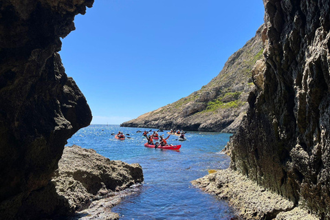 Gozo Kayak Tours