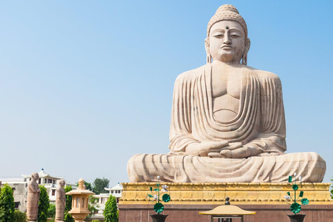 From Varanasi: Sarnath Guided Tour with Private Transfers