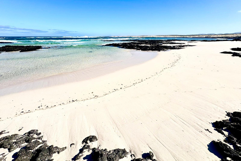 Fuerteventura: El Cotillo, Popcorn Beach & Corralejo Tour