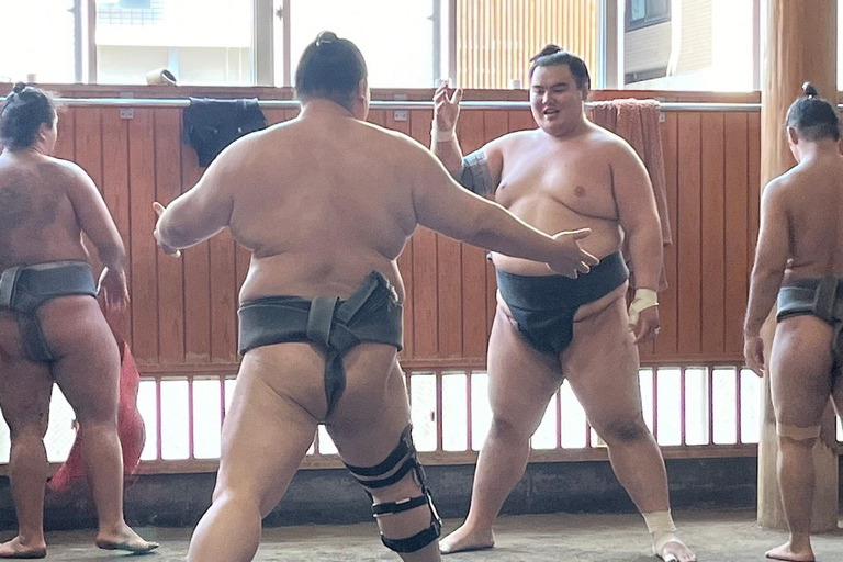 Tokyo: Besök Sumo Morning Practice med engelsk guide