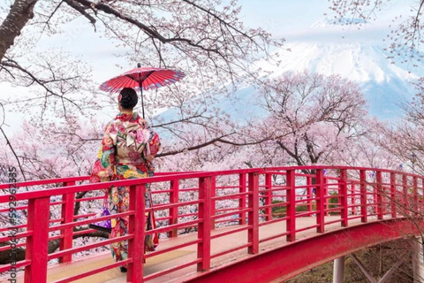 From Tokyo/Yokohama: Mt. Fuji & Tea Ceremony Private Tour