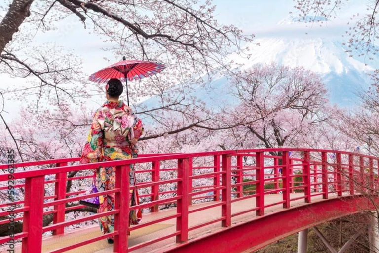 From Tokyo/Yokohama: Mt. Fuji & Tea Ceremony Private Tour