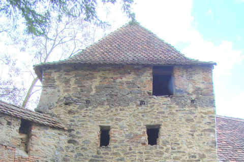 Saxon Villages Tour: Viscri, Rupea Fortress, Criț & Saschiz
