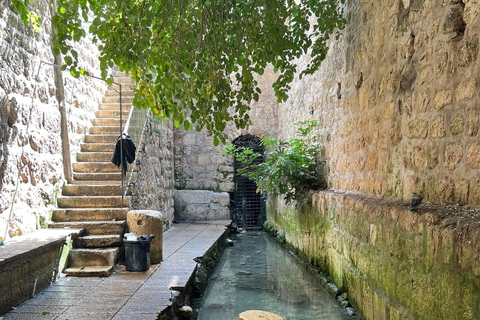 1 journée : Visite privée de Jérusalem et de la Mer Morte.1 journée : Visite à Jérusalem et à la Mer Morte.