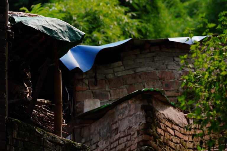 Chongqing: tour del monte Jinyun, del museo e della vecchia stradaGuida per altre lingue