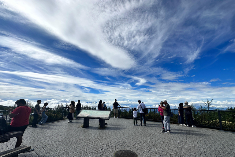 From Tokyo: Mt. Fuji or Hakone Private Sightseeing Day Trip Itinerary A: Mount Fuji