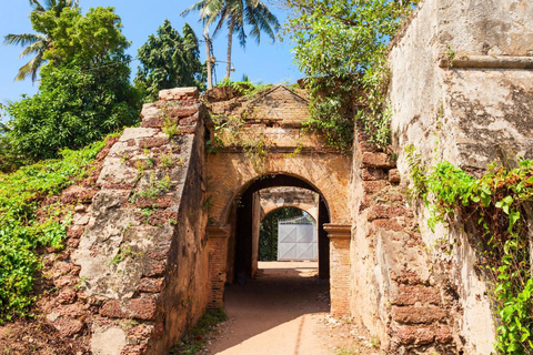 3-Day Funny Round Tour Negombo → Colombo → Galle → Negombo