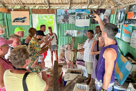 Private: Saona Island Hidden Gems Tour for Cruise Travelers