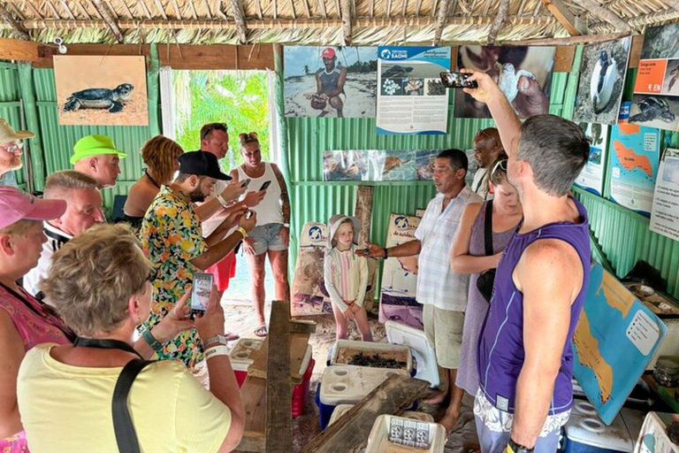 Private: Saona Island Hidden Gems Tour for Cruise Travelers