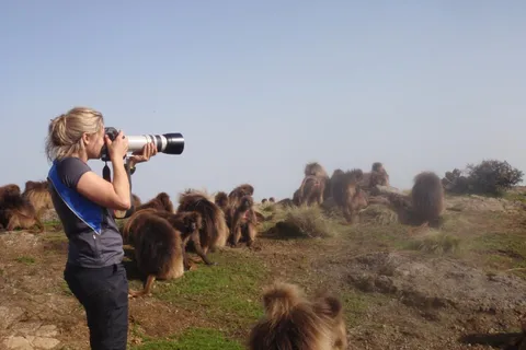 3 Days Trekking & Wildlife Spotting in the Simien Mountains