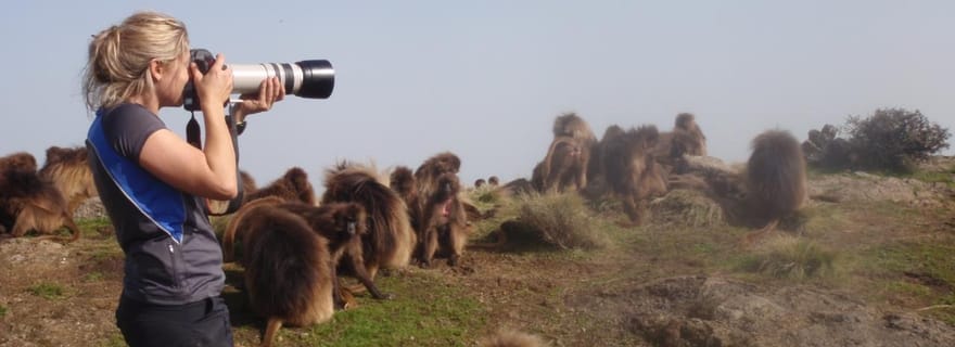 3 jours de trekking et d'observation de la faune dans les montagnes du Simien