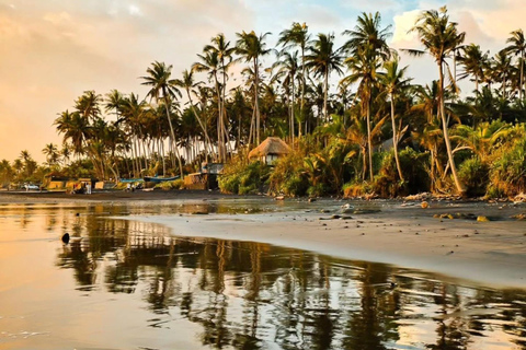 Bali: ATV or Buggy Adventure with Beach and Rice Fields Meeting point option
