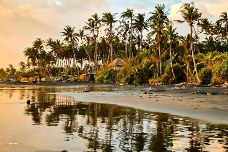 Bali: ATV or Buggy Adventure with Beach and Rice Fields Meeting point option
