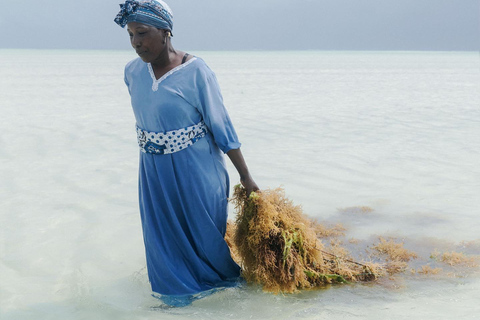 زنجبار: جولة في قرية متندي ومركز الأعشاب البحرية مع خدمة الاستلام