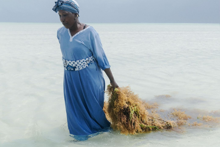 زنجبار: جولة في قرية متندي ومركز الأعشاب البحرية مع خدمة الاستلام