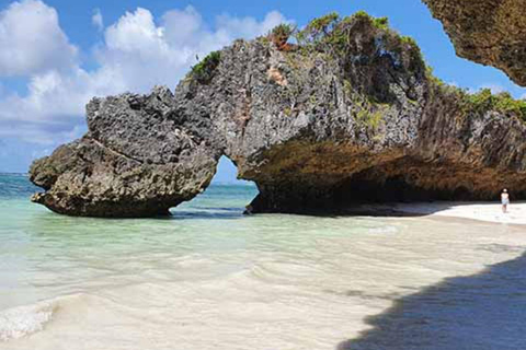 Zanzibar: las Jozani, centrum motyli i wycieczka na plażę MtendeOdbiór z miejsca zakwaterowania nie jest wliczony w cenę.