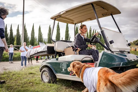 Monteriggioni: tour in golf cart tra i vigneti con vino e pranzo