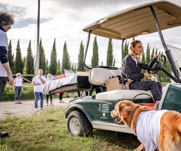 Monteriggioni: Vineyard Golf Cart Tour with Wine and Lunch