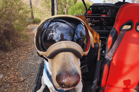 Excursión en Buggy por MijasExcursión en Buggy Mijas Costa