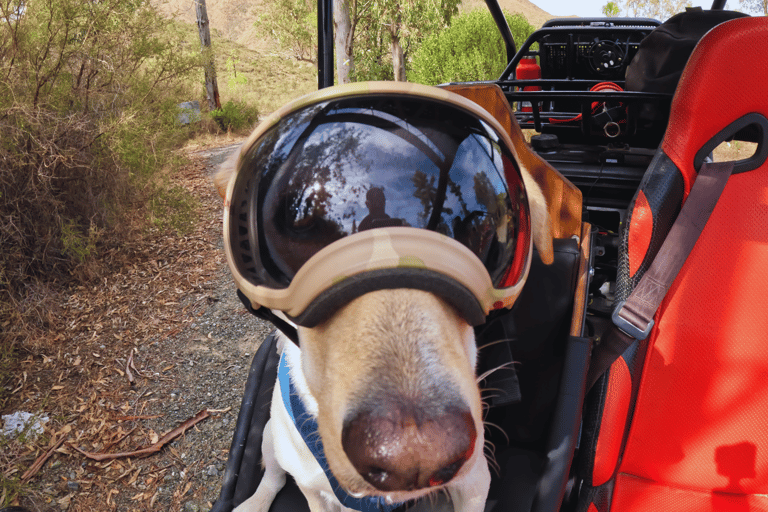 Guidad Buggy-tur MijasLas Lagunas de Mijas: Guidad tur med buggy