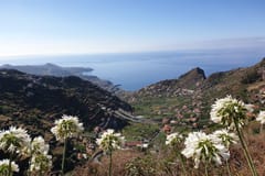 Funchal: Levada do Norte - Geführte Wanderung mit Transfer
