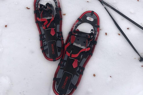 Bariloche Winter Park: Geführte SchneeschuhwanderungBariloche Winter Park: Geführte Schneeschuhwanderungen im Schnee