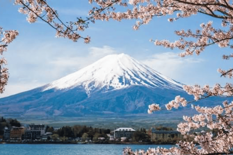 From Tokyo : Mount Fuji Private Tour With English Guide